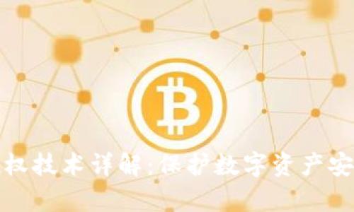 tp钱包盗币授权技术详解：保护数字资产安全的核心要素