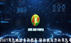 USDT钱包地址查询指南：轻