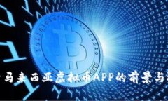 探索马来西亚虚拟币APP的
