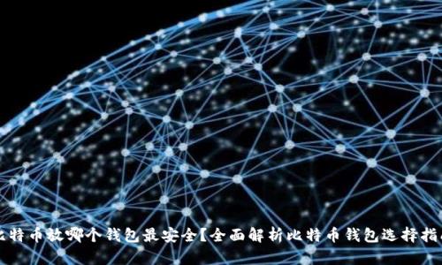 比特币放哪个钱包最安全？全面解析比特币钱包选择指南